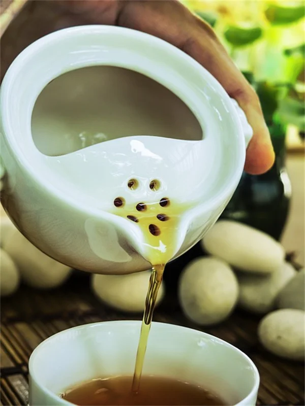多肉植物の「鉢の中の鉢」、おしゃれに見せる3つのコツと水やりの裏技