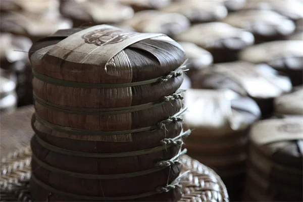 牡丹は日向が好き？日陰が好き？品種別に徹底解説