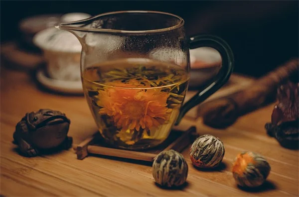 粘着性天竺葵の育て方と管理のコツ