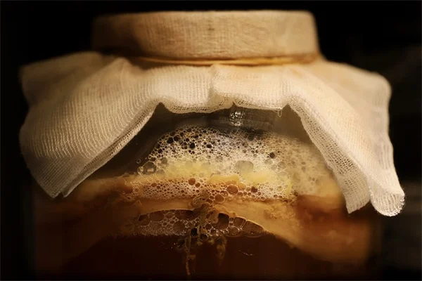 土壌微生物を増やす簡単なコツ——庭師が実践する3つの方法